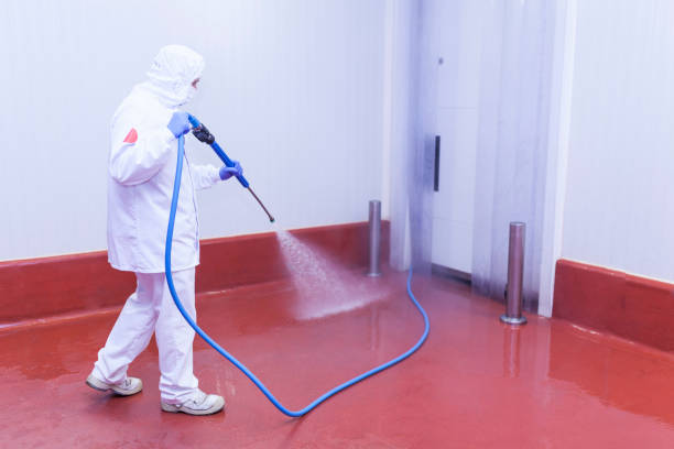 Best Parking Lot Cleaning in Desert Palms, CA